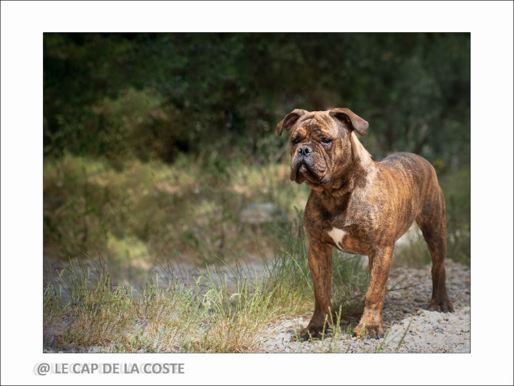 Urgence absolue dit scott du Cap de la Coste