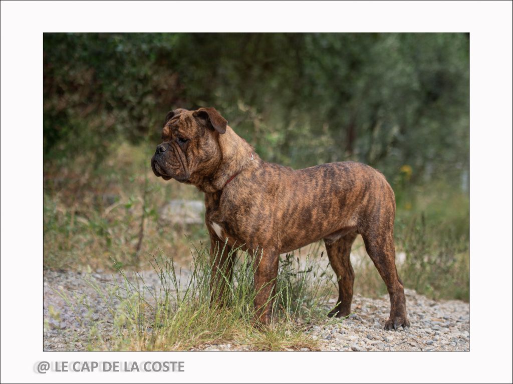 Urgence absolue dit scott du Cap de la Coste