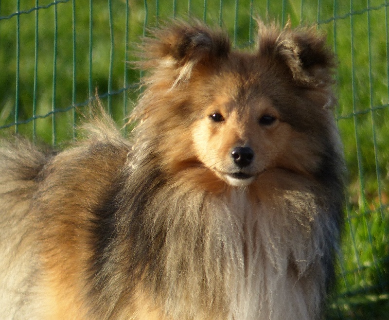 Imagine a dream du Cap de la Coste