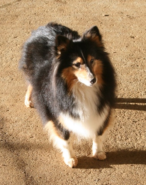 Finca du Cap de la Coste