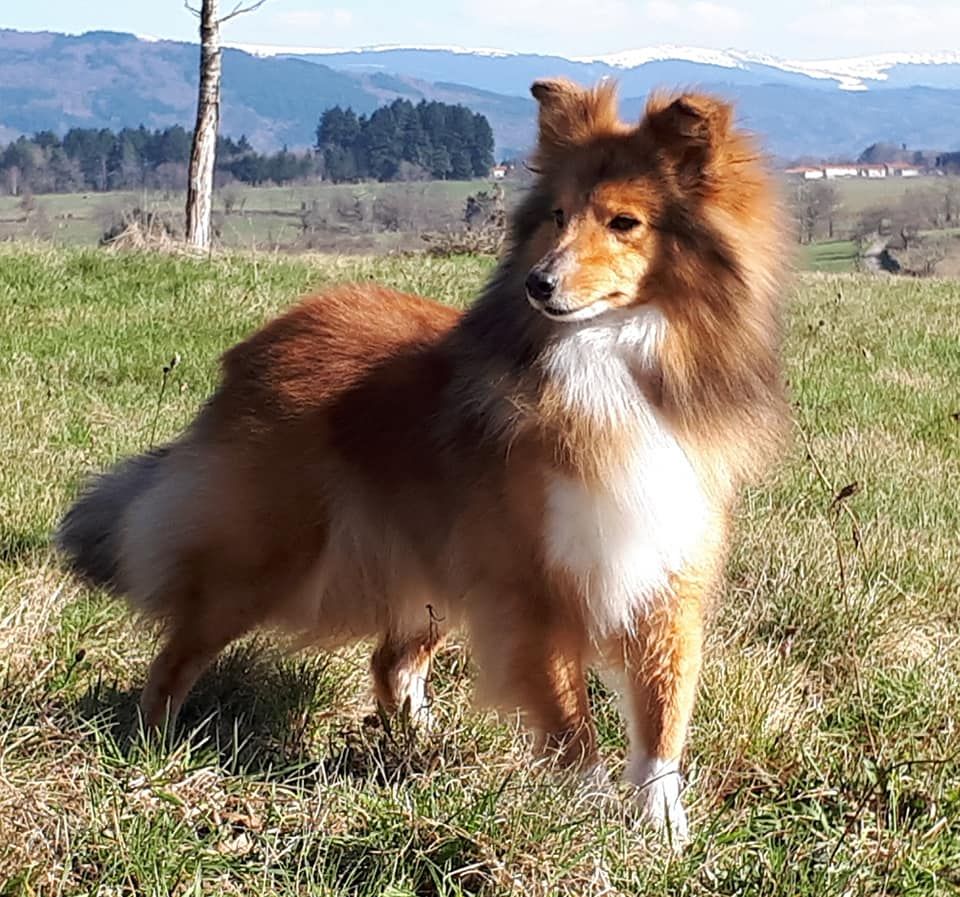 Galejades du Cap de la Coste