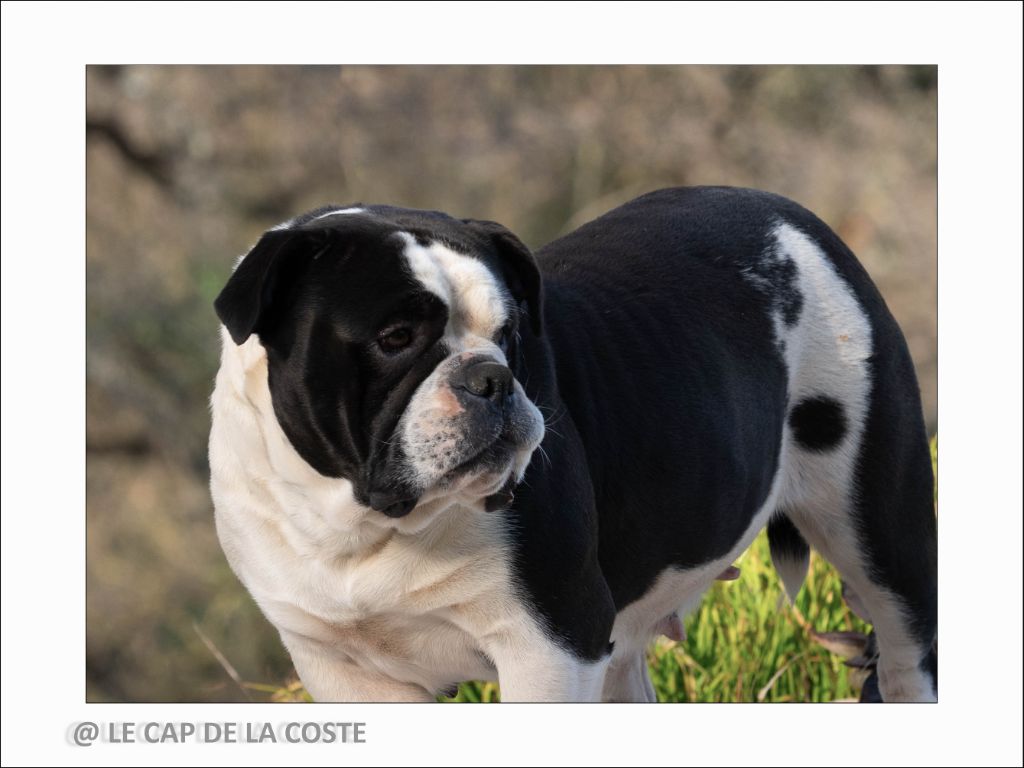 Rosalie des perles noires de Beaume