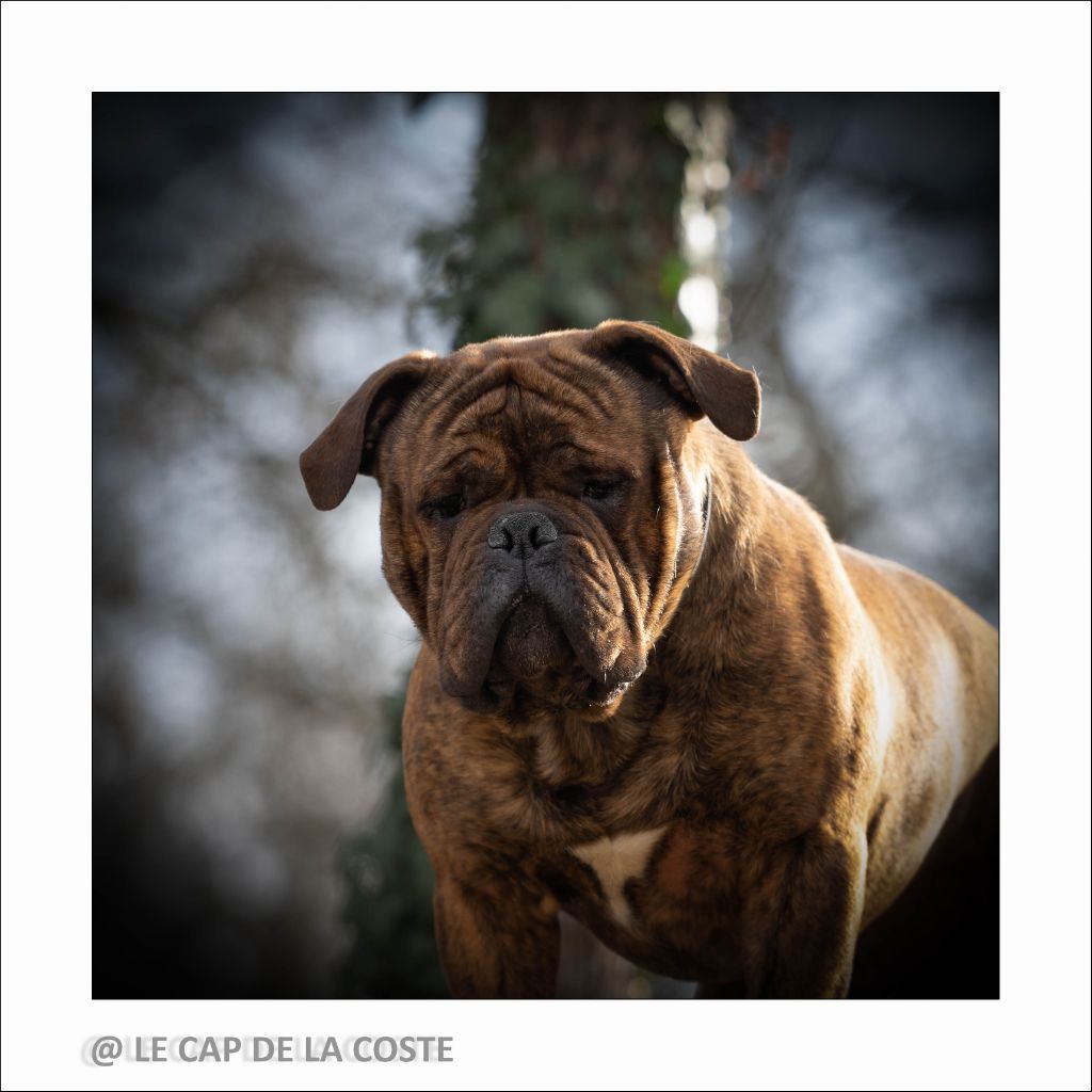 Urgence absolue dit scott du Cap de la Coste