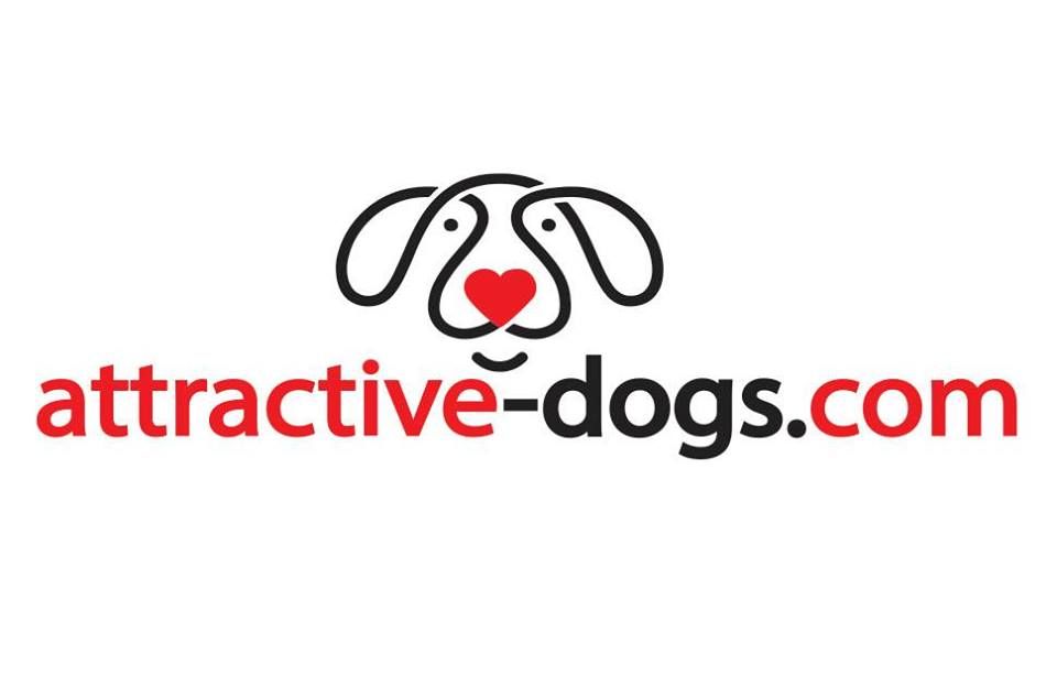 Pour vos saillies : Attractive-dogs.com