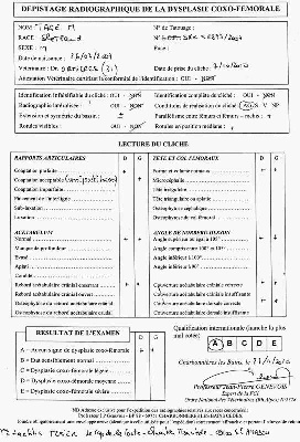 du Cap de la Coste - Résultat dysplasie des hanches de Clint